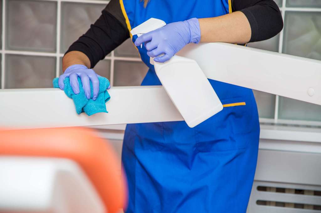 What are professional cleaning&nbsp;services?